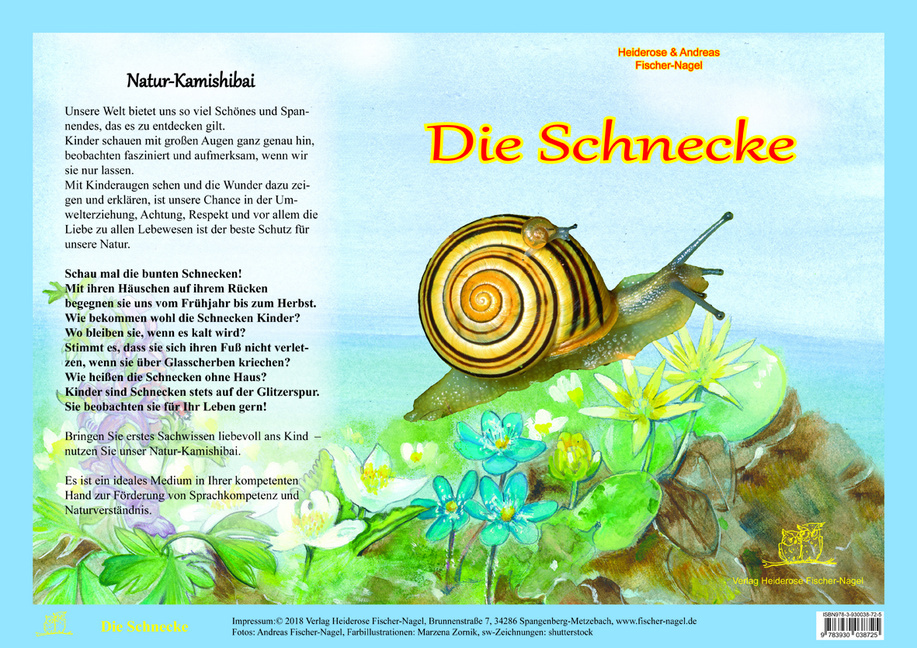 Die Schnecke - Natur-Kamishibai von Verlag Fischer-Nagel